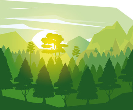 colorful background with landscape of pine trees in dawn vector illustration