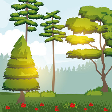 colorful background of sunny landscape of forest vector illustration