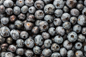 Blueberries texture