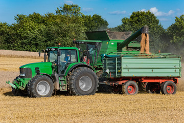 Tractor with trailer and combine harvester at harvest - 9967