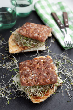 Sandwiches with grilled turkey, cheese, and leek sprouts