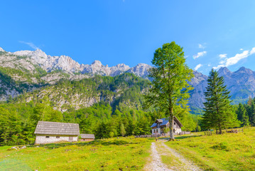 Mountain cabin in European Alps, Robanov kot, Slovenia