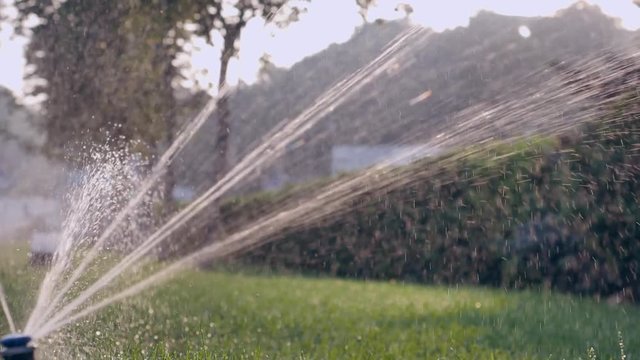 Automatic watering of grass in the city in summer season.