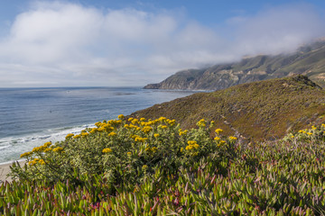 Beautiful California
