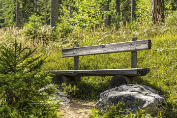 Fototapeta premium park bench
