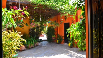 PLANT GARDEN HOUSES MEXICO