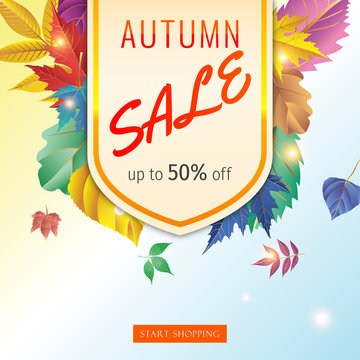 Autumn Sale banner. Autumn orange and yellow, red fall leaves frame on wood, wooden board background, top view vector, advertising wallpaper, gift card design. Autumn discount 50%.