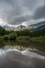 Jasper Landscape