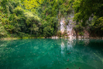 The emerald pool, Northern Thailand