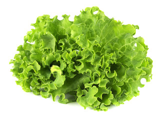 Obraz na płótnie Canvas Salad leaf. Lettuce isolated on white background.