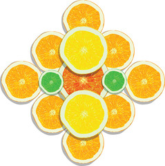 lemon, orange, lime, grapefruit slices on white background