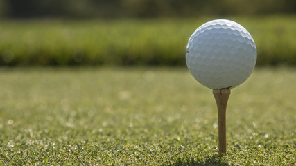 Golf Ball On Tee