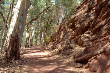 On the Wangara Lookout hike in the Flinders Ranges - Wilpena Pound, SA, Australia