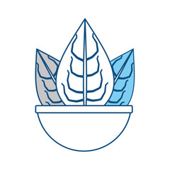 Plant in pot icon vector illustration graphic design