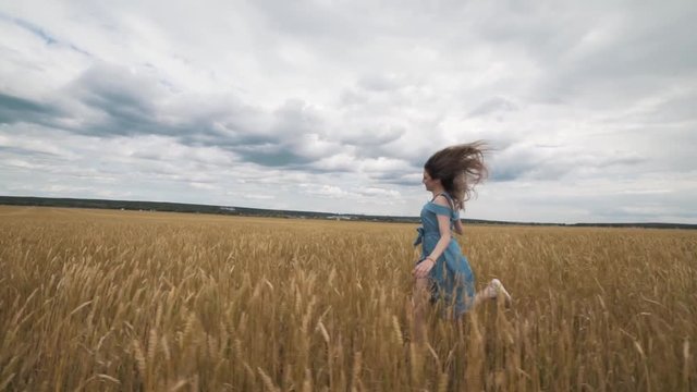 Harvesting. Girl in a field of wheat. Beautiful healthy hair.