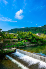 Fototapeta premium 京都 嵐山 中之島地区