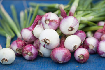 Red onions in plenty on blue background on display at local farmer's market.
