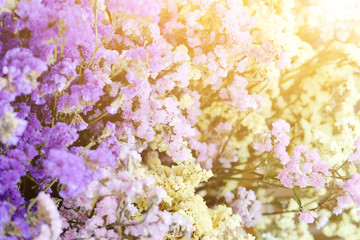 Bouquet of flowers, Gypsophila