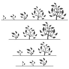 Evolution plant. Silhouette of the abstract tree. 