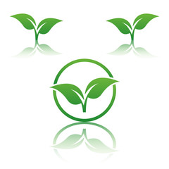 Abstract vector tree emblem. Eco lifestyle concept illustration.