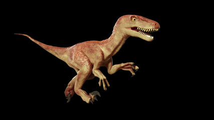 running Velociraptor dinosaur 