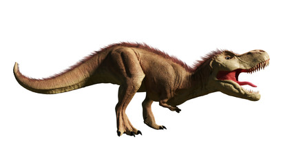 Fototapeta premium Tyrannosaurus rex, T-rex dinosaur from the Jurassic period