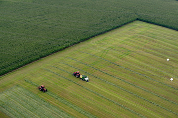 Obraz premium Luftaufnahme - Ernte - Landtechnik - Einfahren der Grassilage mit Traktor und Ladewagen