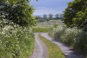 skåne landscape