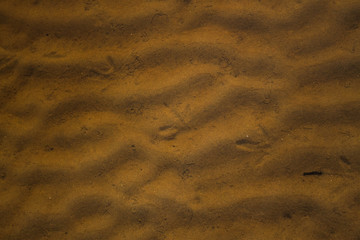 traces of birds on the sand through the sea water