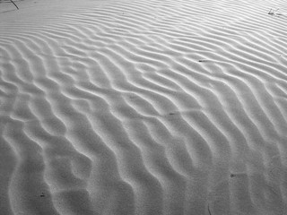 Mar de Arena (Medanos de Las Cabimas)