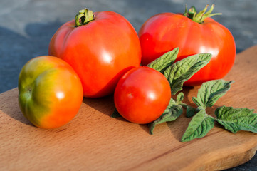 Yellow and red tomatoes on the board
