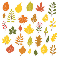 Autumn leaves, hand drawn style, vector illustration