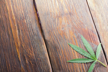Hemp leaves on a wooden background