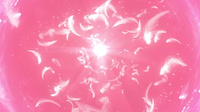 空に舞い上がる羽根_ピンク背景