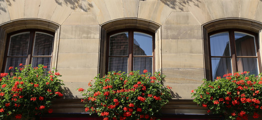 Fototapeta na wymiar Window with flowers / Window with beautiful flowers on the windowsill