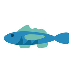 cartoon fish icon image vector illustration design 