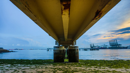 Under the Pier