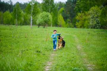 a little boy runs along a overgrown rough road through a green meadow. German Shepherd opened her...