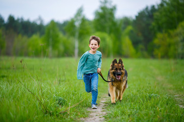 A little boy runs across the green meadow with his big German shepherd on a leash. The dog strained his ears and peered into the distance