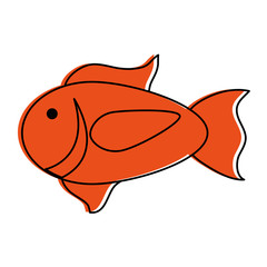 cartoon fish icon image vector illustration design  orange color