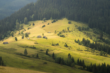 Beautiful carpathian nature landscape and abandoned wood lodges on a sunny meadow among mountain...