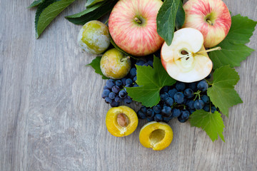 fruit still life