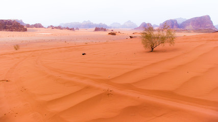 Wadi Rum desert in Jordan