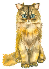Watercolor hand drawn cats