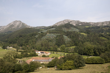 Fototapeta na wymiar Paisaje de montaña Cantábrica