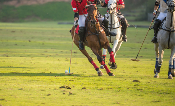 The Polo Player Hit Polo Ball With His Polo Stick In Polo Match.