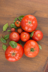 Unterschiedlich große, aus der Vogelperspektive gesehene Tomaten, mit Basilikum auf Holzbrett