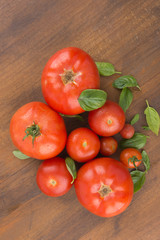 Unterschiedlich große, aus der Vogelperspektive gesehene Tomaten, mit Basilikum auf Holzbrett