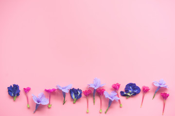 Top view of pink and purple flower on pink background with copy space.