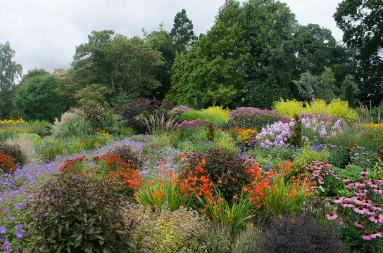 Large traditional english borders of hardy perennials